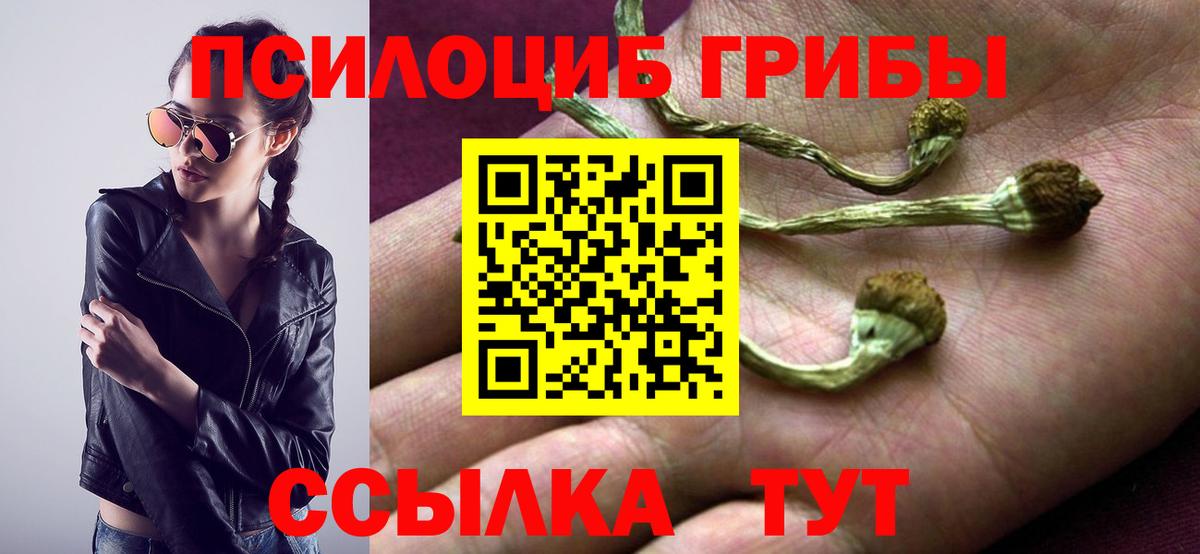 Псилоцибиновые грибы GOLDEN TEACHER  Вход с VPN  Псилоцибиновые грибы прущие грибы  Дубна 
